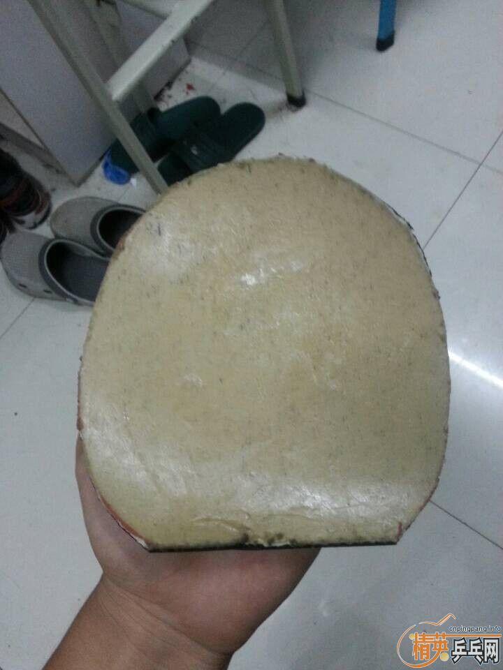 ������������µ����ƻԻͣ�stiga optimum mp