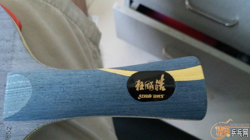 ֧�������������һ�ף�520����