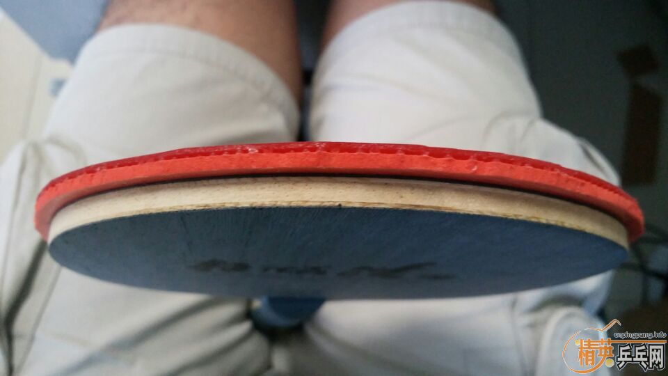 ֧�������������һ�ף�520����