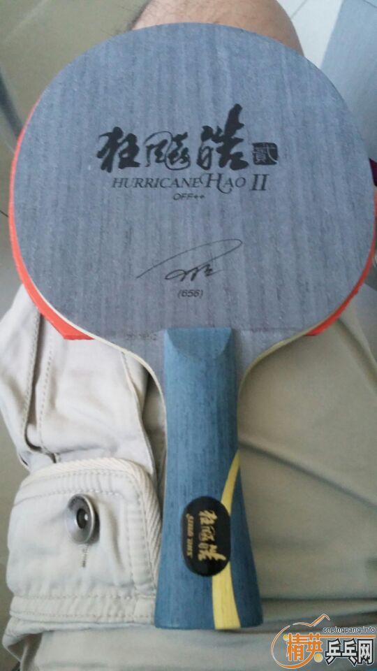 ֧�������������һ�ף�520����