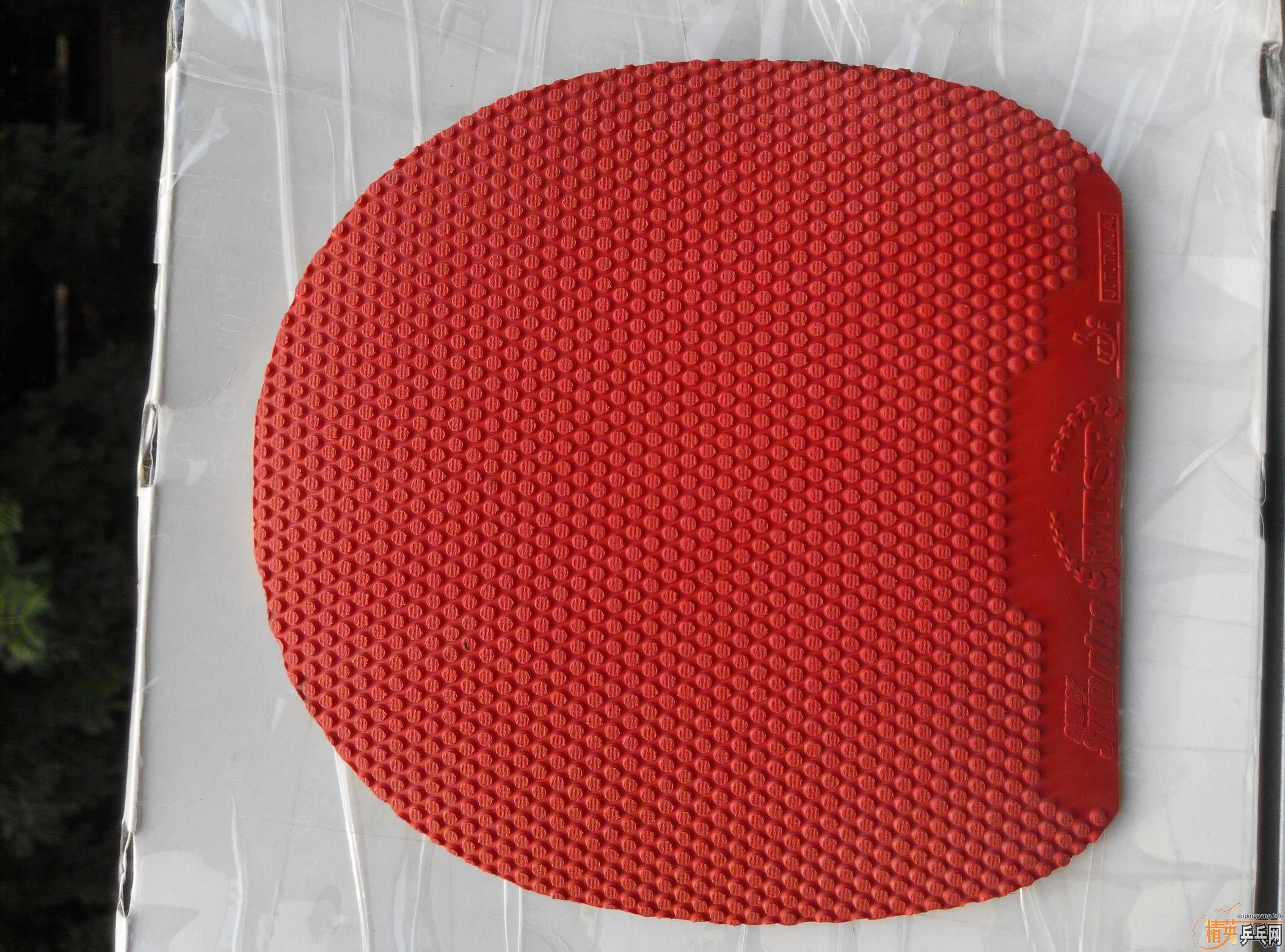 ���л�CLCRWRB�������ϰ��CL��һ�ѽ�Ƥ