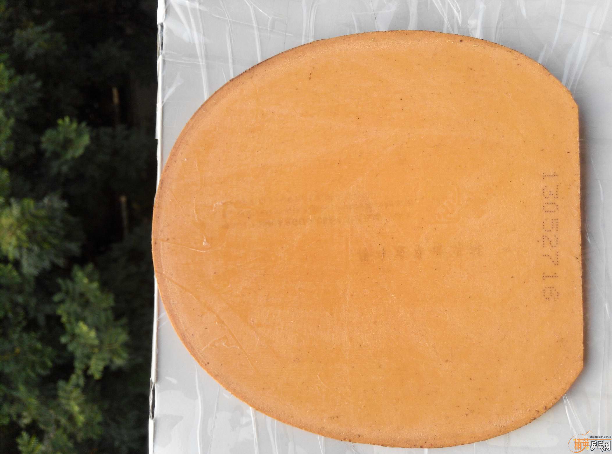 ���л�CLCRWRB�������ϰ��CL��һ�ѽ�Ƥ