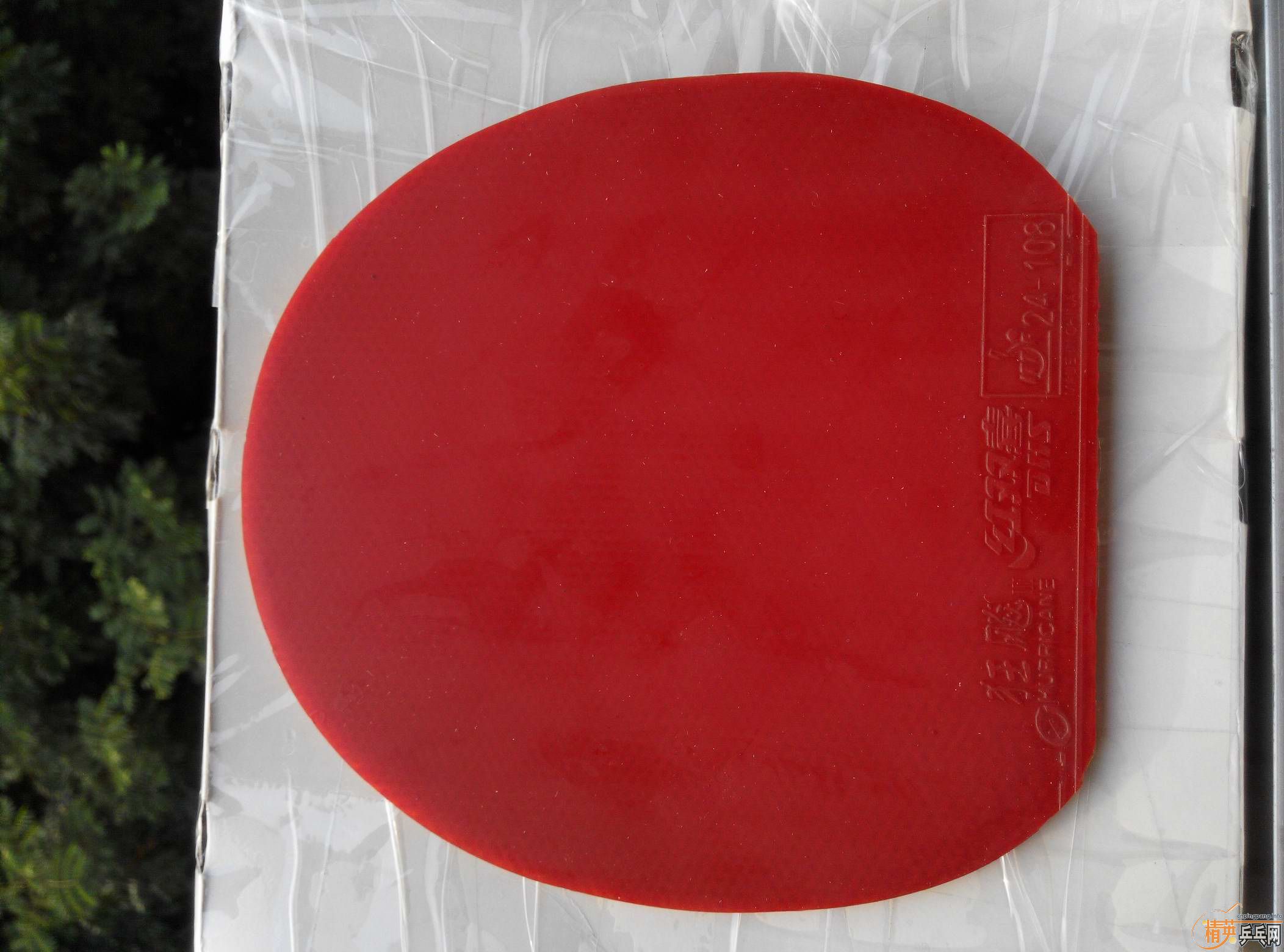 ���л�CLCRWRB�������ϰ��CL��һ�ѽ�Ƥ