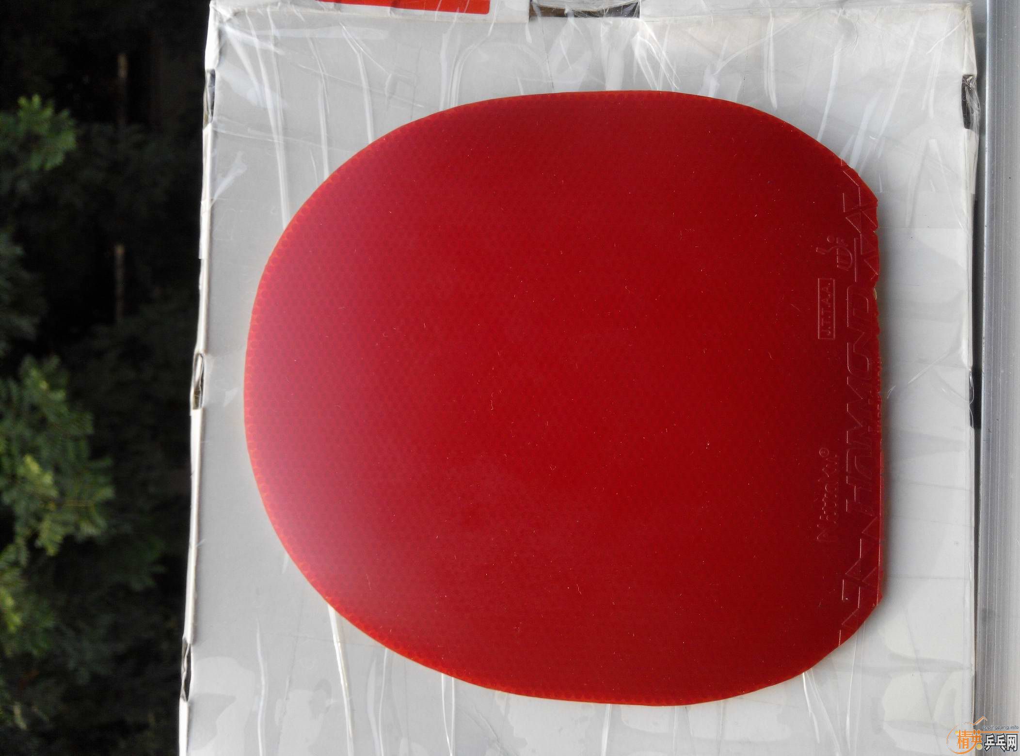 ���л�CLCRWRB�������ϰ��CL��һ�ѽ�Ƥ