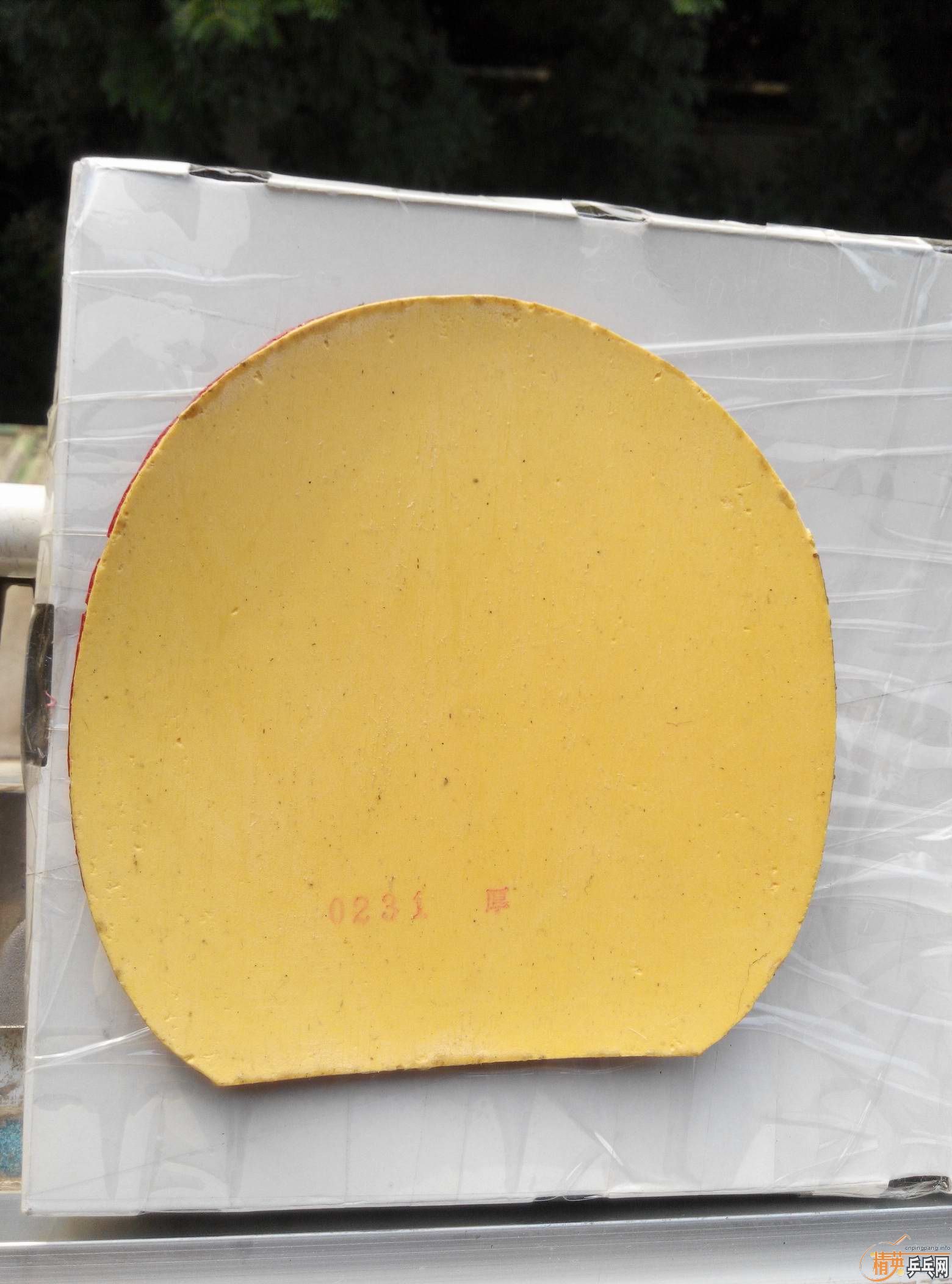 ���л�CLCRWRB�������ϰ��CL��һ�ѽ�Ƥ