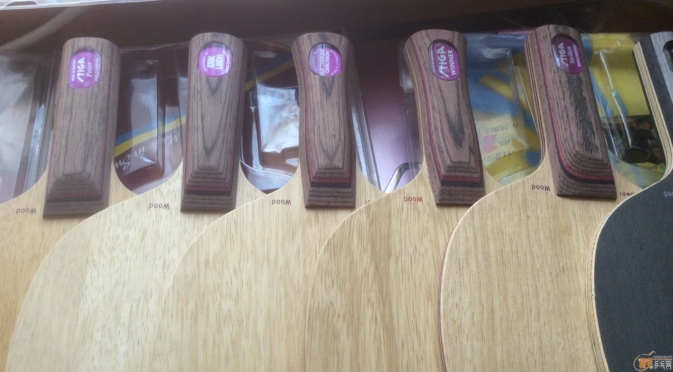 ����ֻ��stiga dy��gp