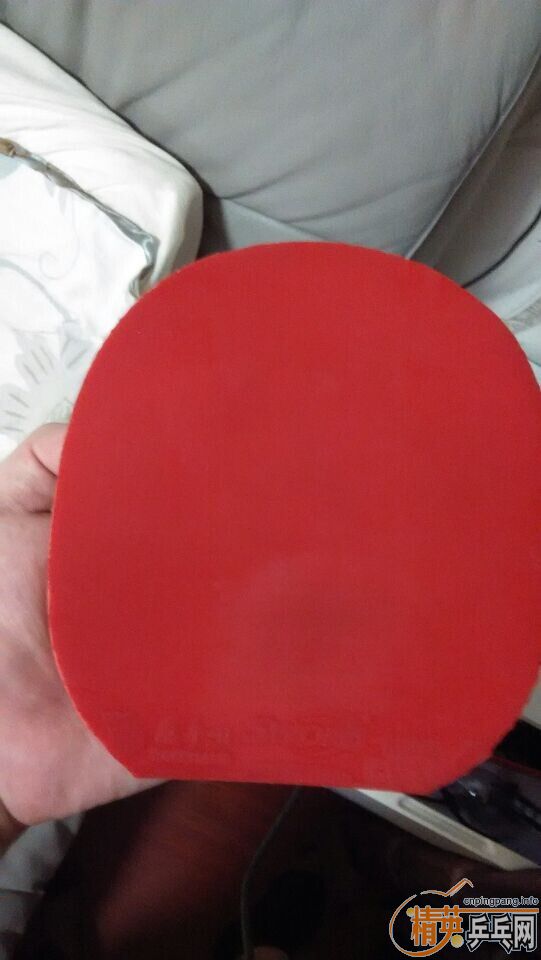 ��9.9�� nittaku bizelox ���͵�۽�ˮ���µ½�Ƥ