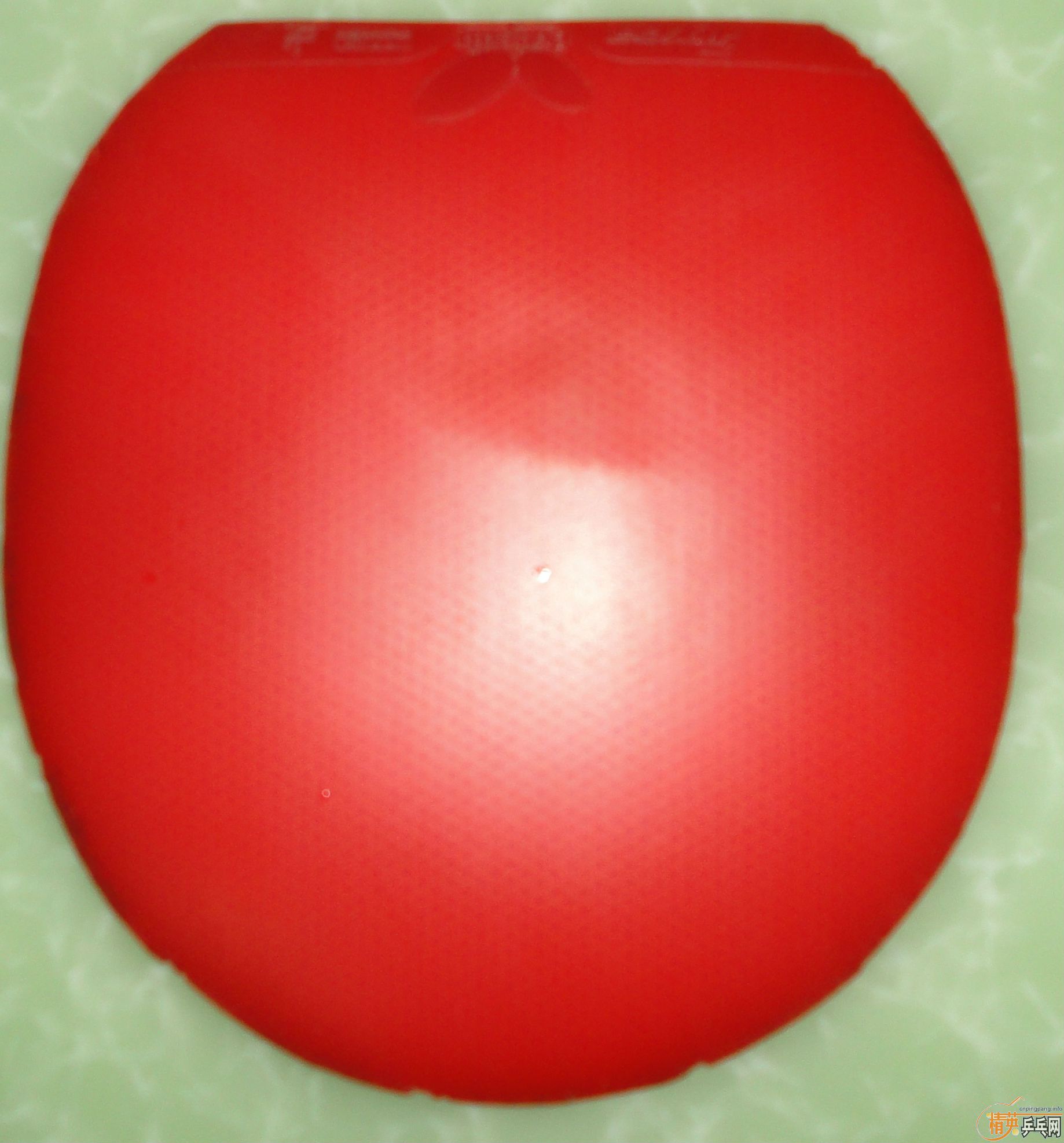 ���׽�������ŷ����2����ͣ��쳵����