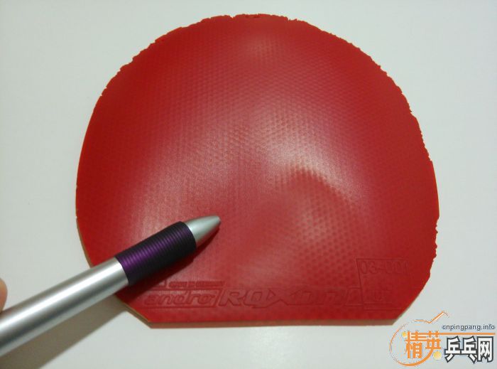 ������ROXON330��ROXON450��MPULS POWERSPONGE��