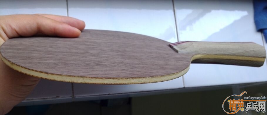 �������ɫ���������ӡ�����54��Rutis����������ľ