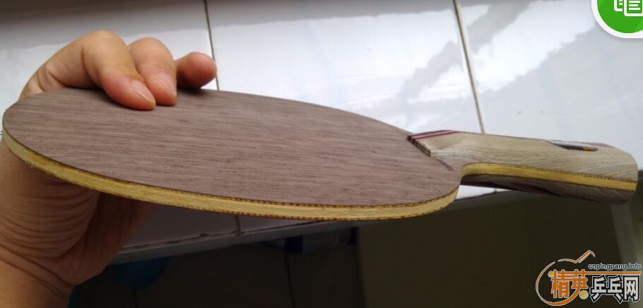 �������ɫ���������ӡ�����54��Rutis����������ľ