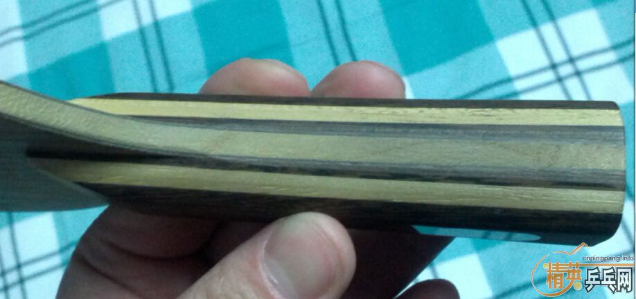 �������ɫ���������ӡ�����54��Rutis����������ľ