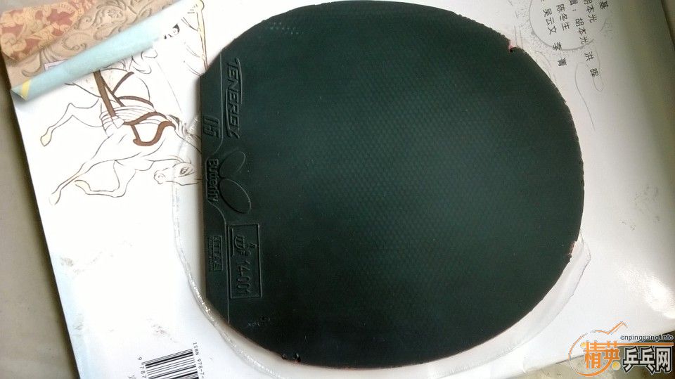 ���� ��ɫ����T 05��ɫ������Լ۸񹫵�