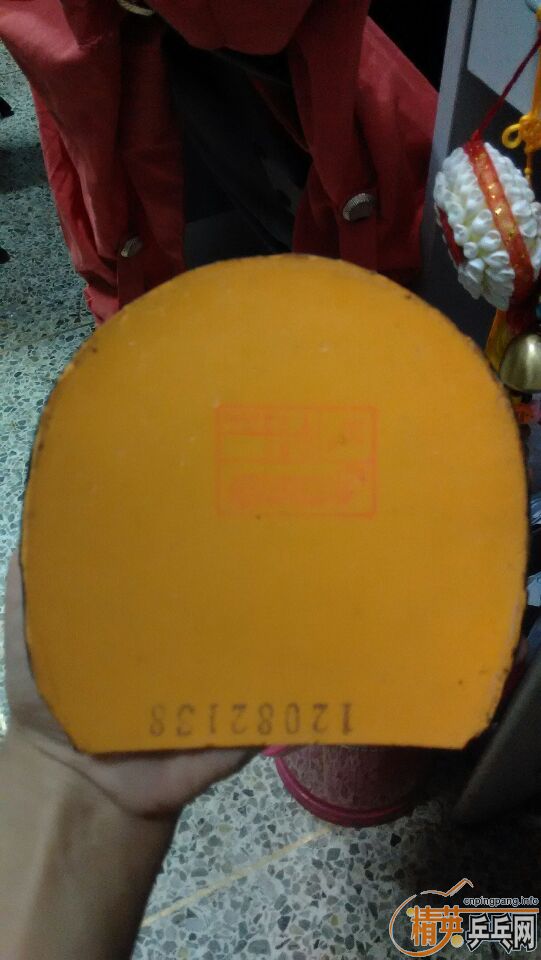 ʡ����������̽��