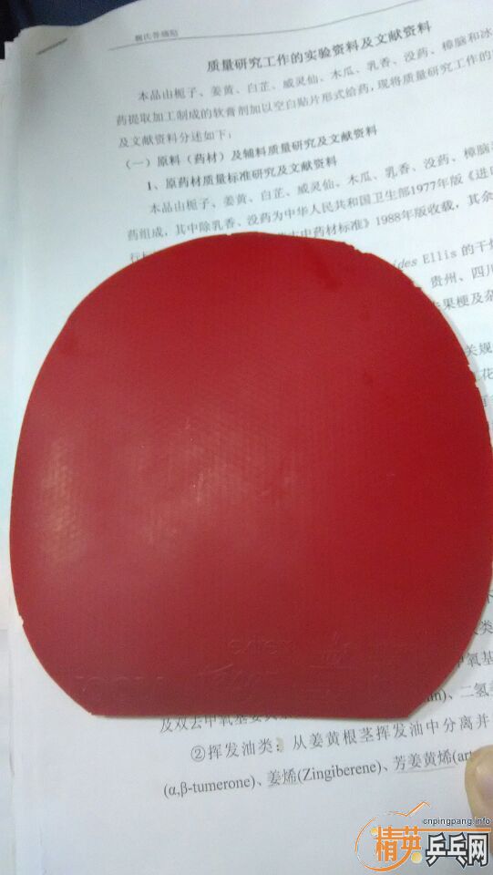 ʡ����������̽��