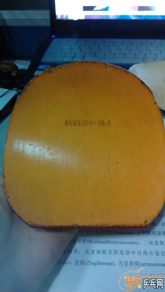 ʡ����������̽��