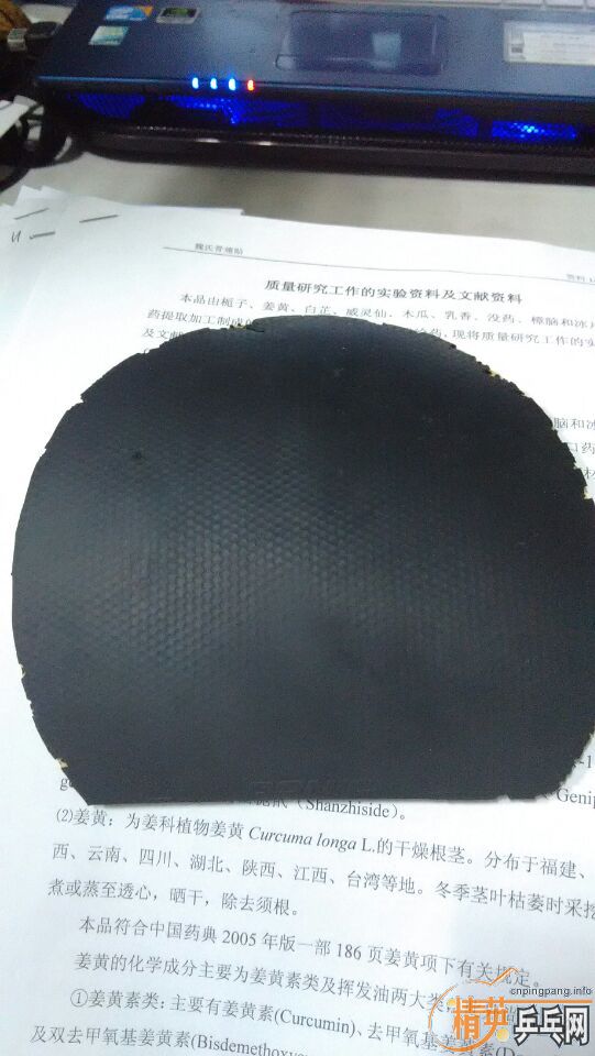 ʡ����������̽��