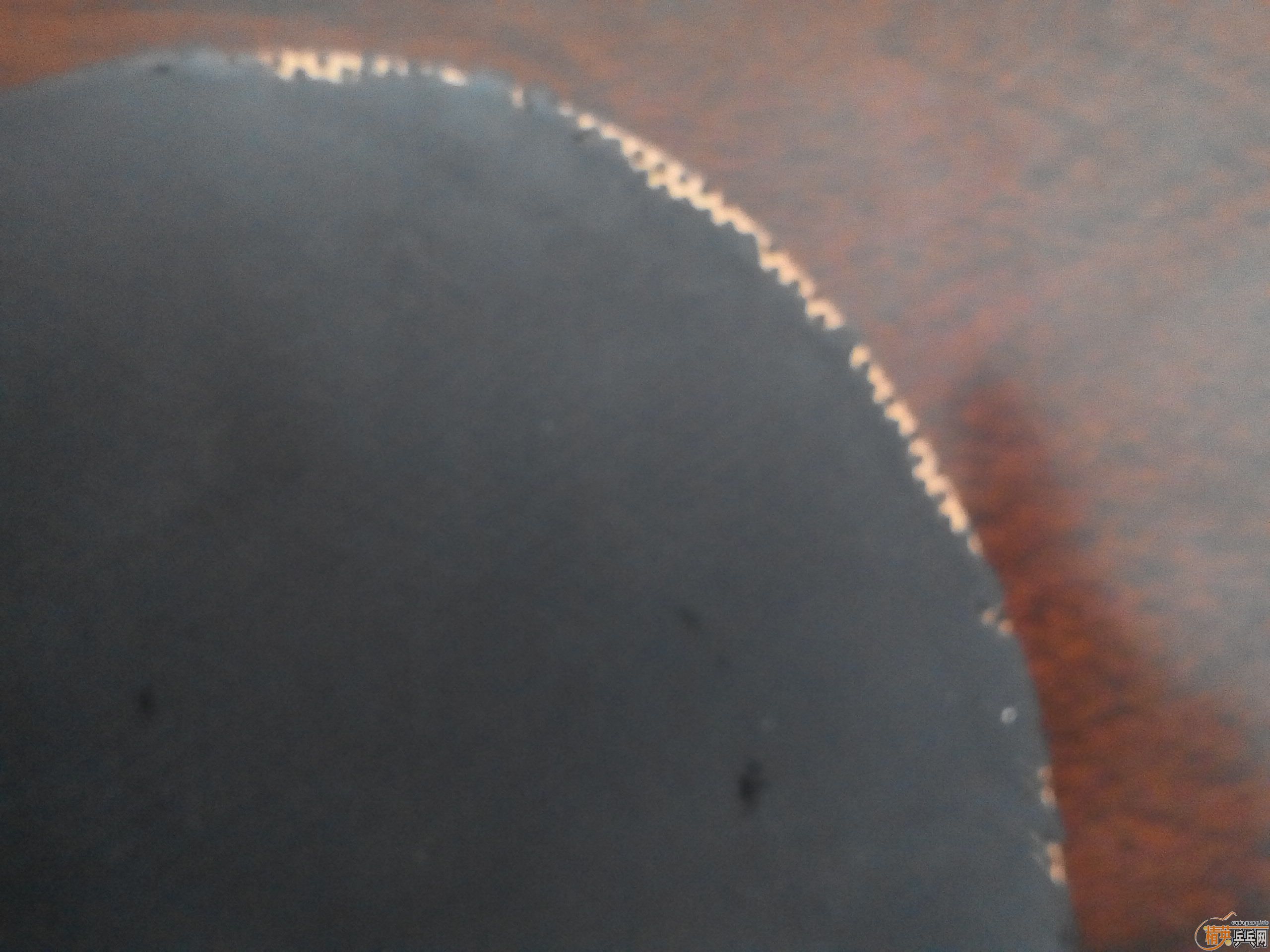 �����׽����ײ˼۳�