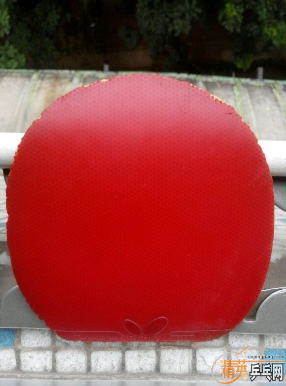 ������������,���ʹ�Z���������FX�����ֿ���39��