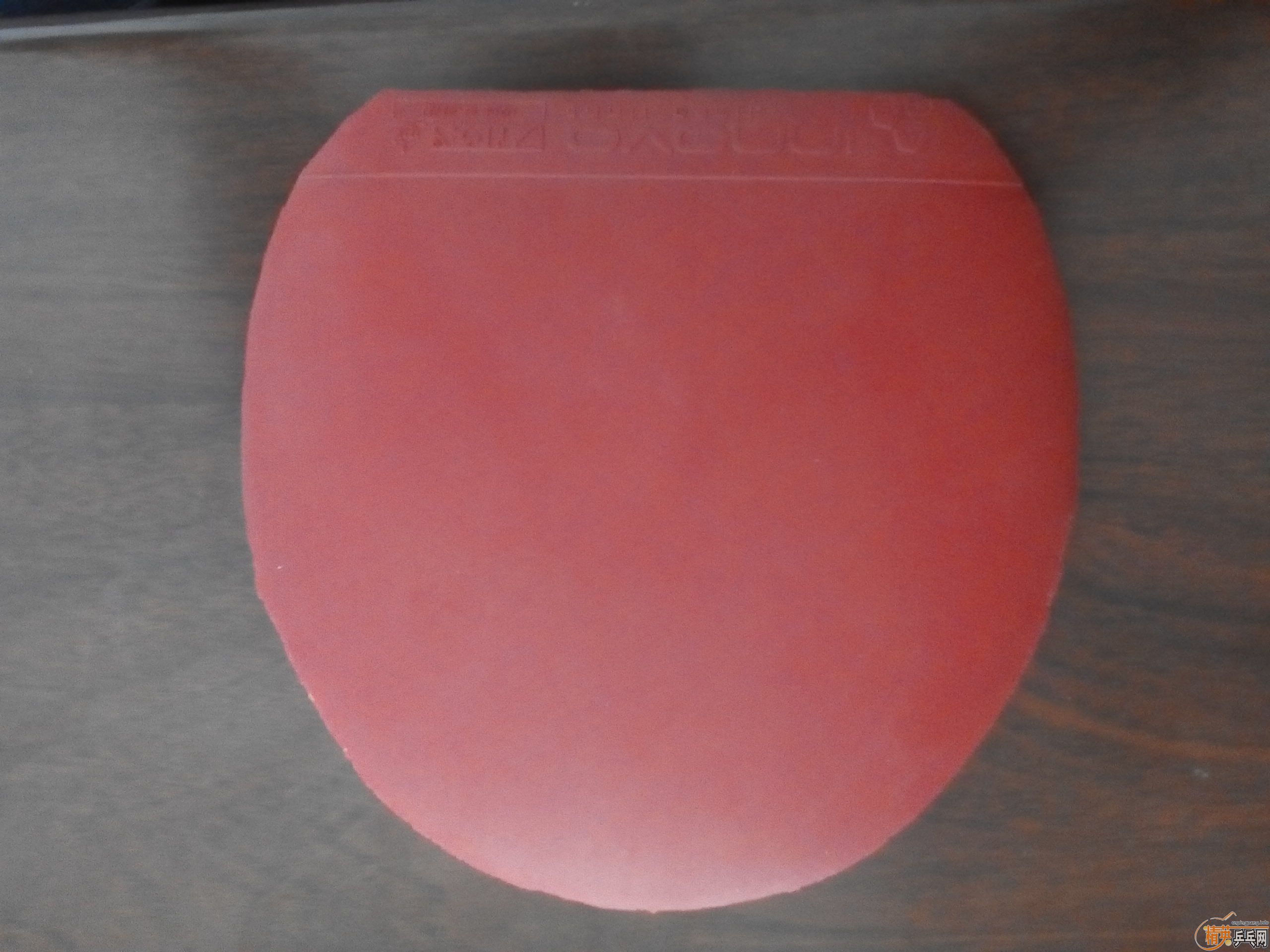 �����׽����ײ˼۳�