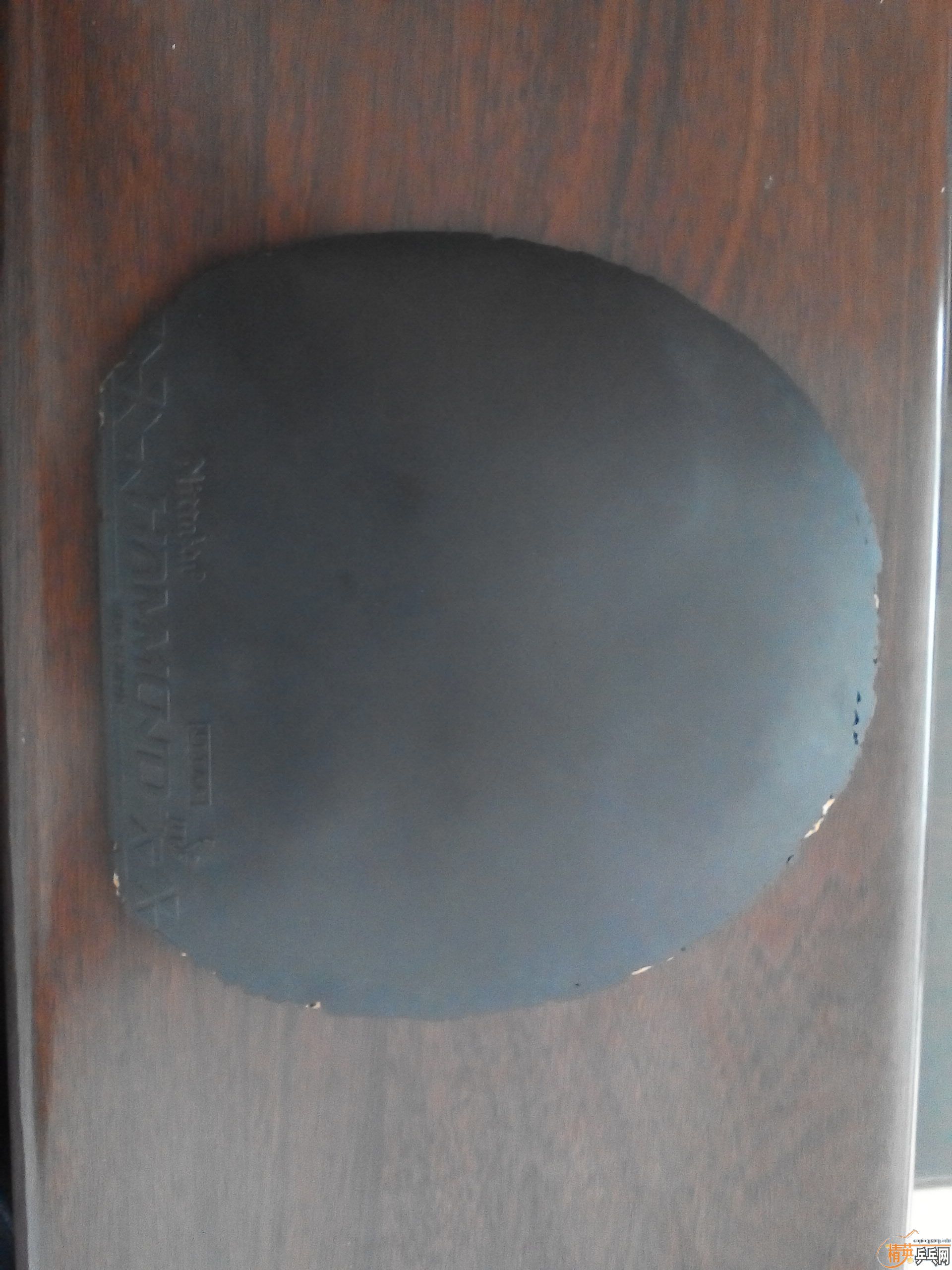 �����׽����ײ˼۳�