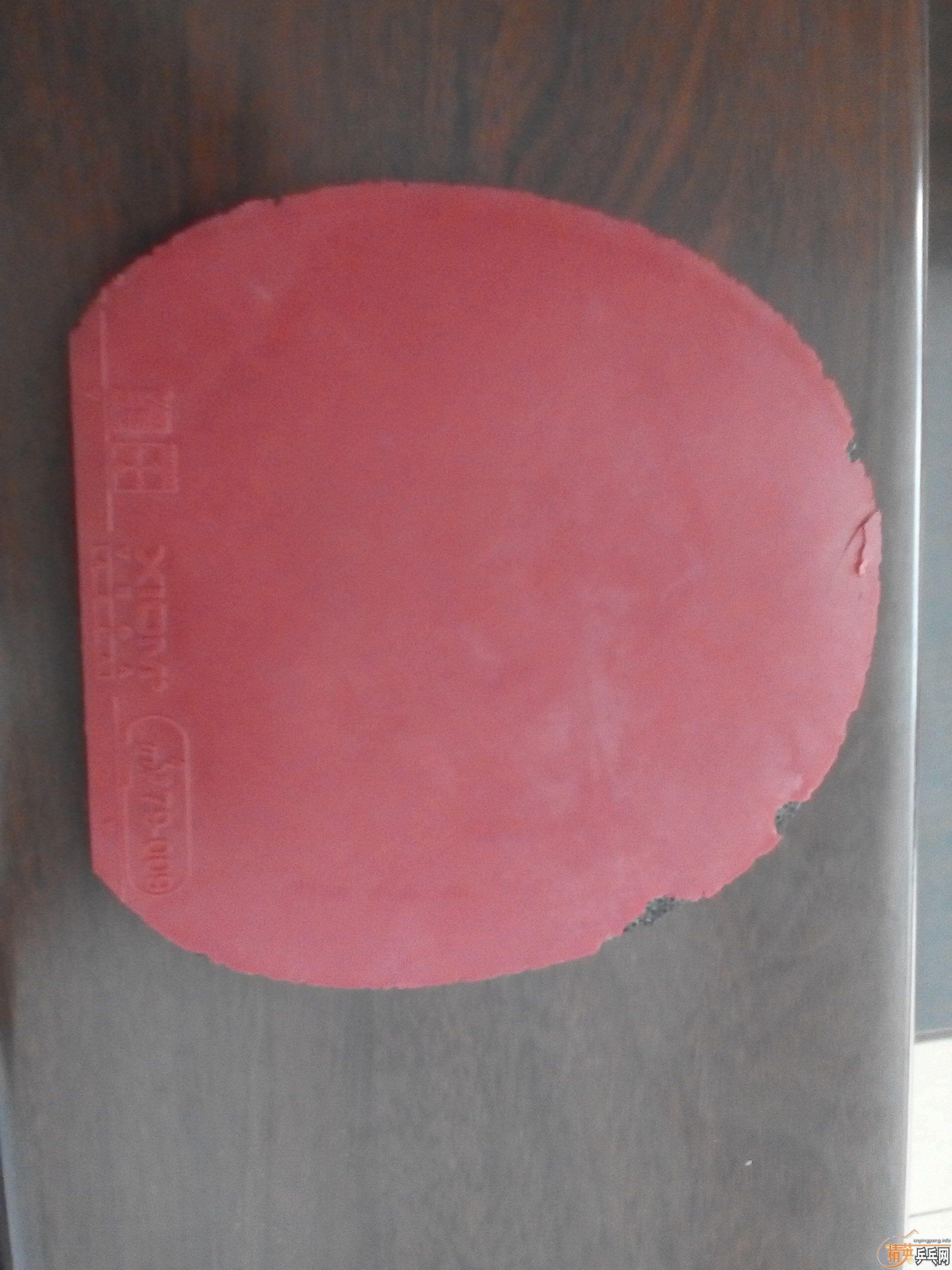 �����׽����ײ˼۳�