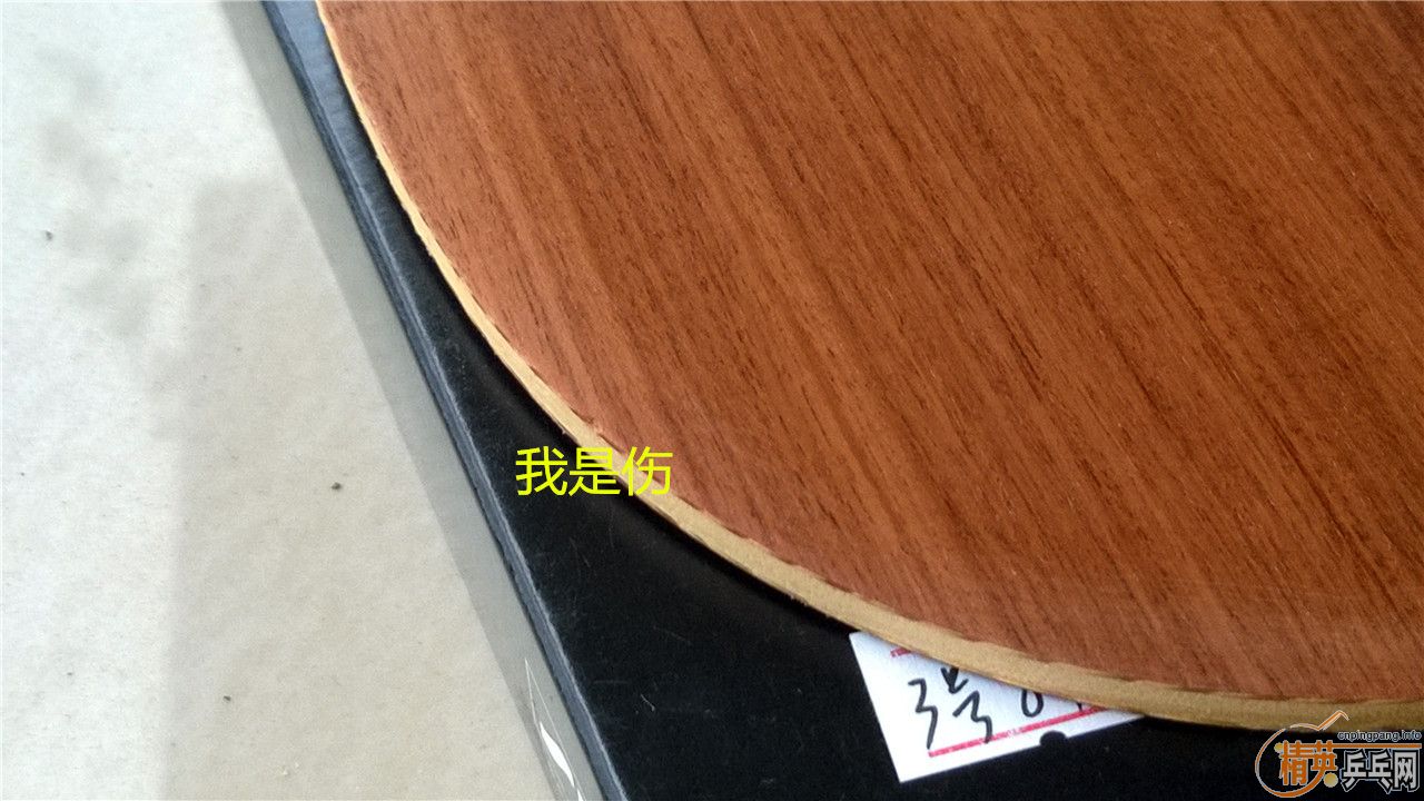 [Ƽ]ɾȫ꣬絽磡ŷõ5л̼7.6ϸOC~~~~