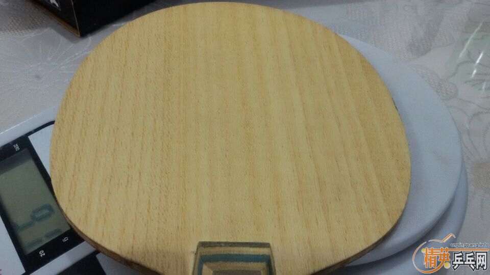 ������ ��Ʒ butterfly viscaria ������