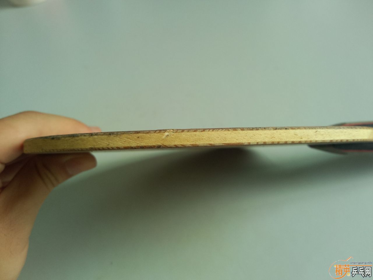 רҵ���YEO��������