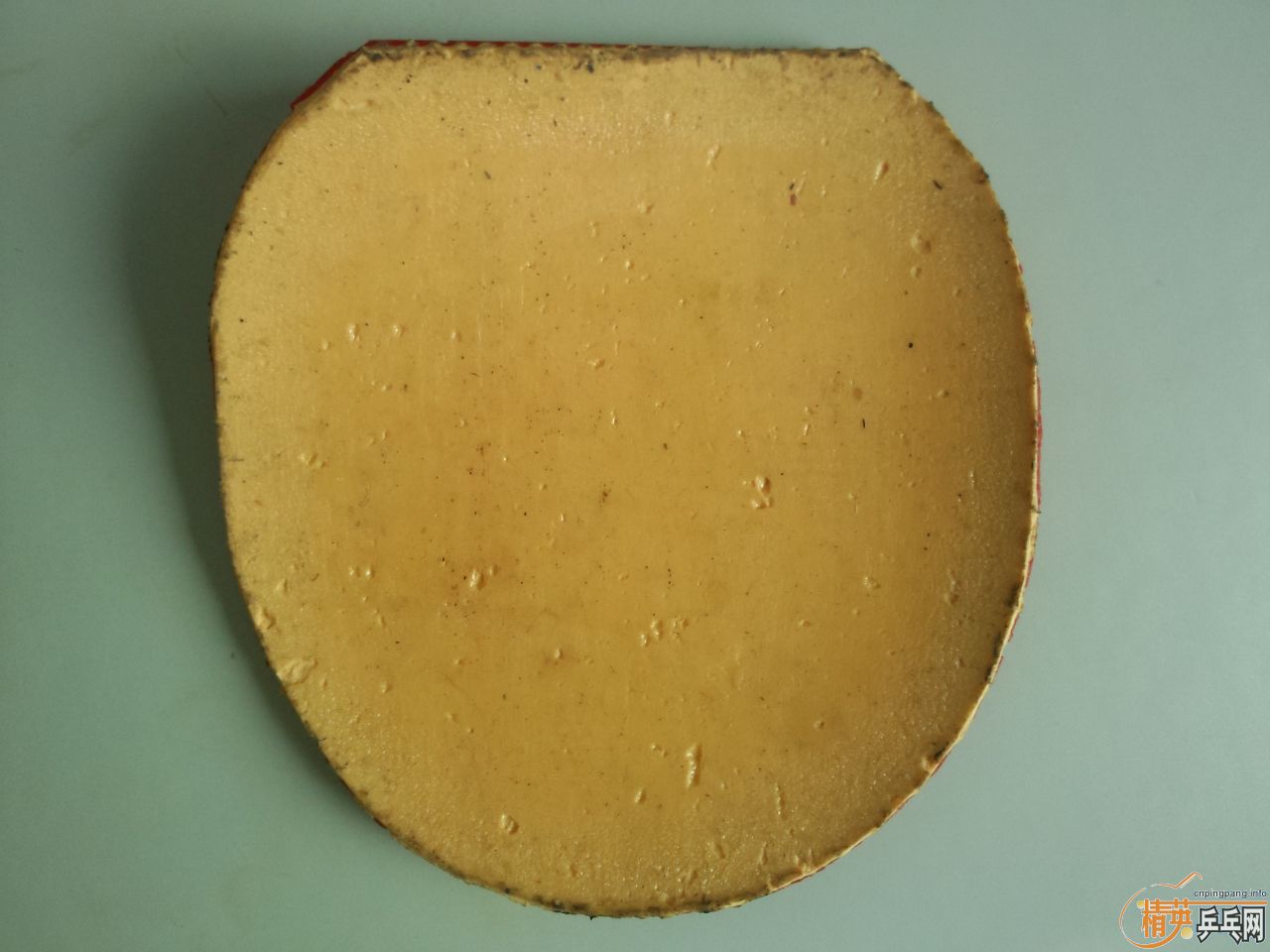 רҵ���YEO��������