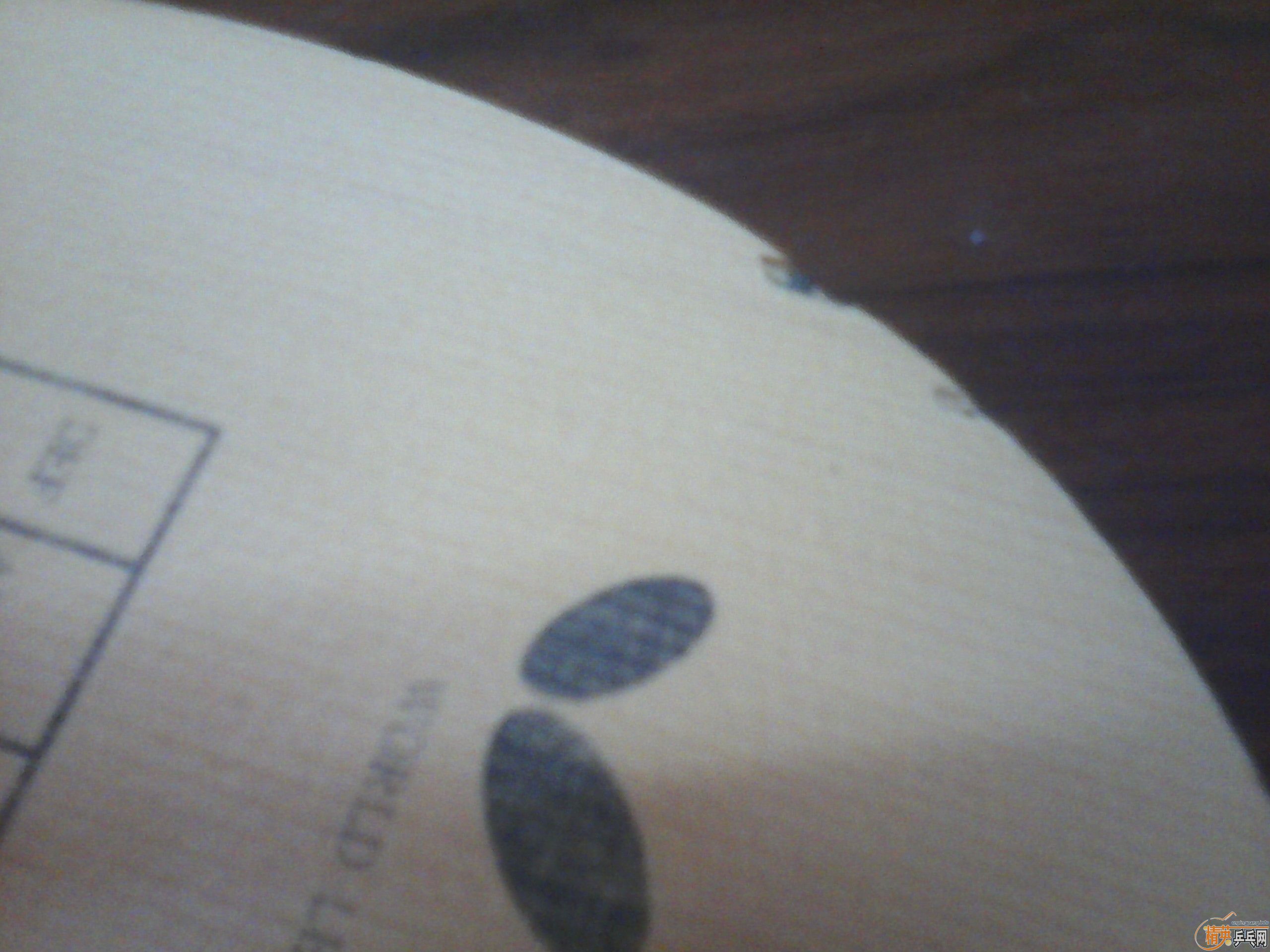 ۳̼FLһѣ88ˣˣͼ350ԪȫʣϵQQ609363626,ллǳ^_^
