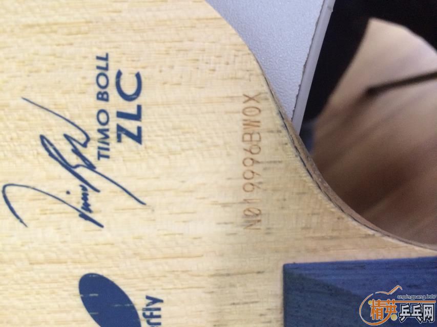 [�Ƽ�]��boll zlc  С���� ����