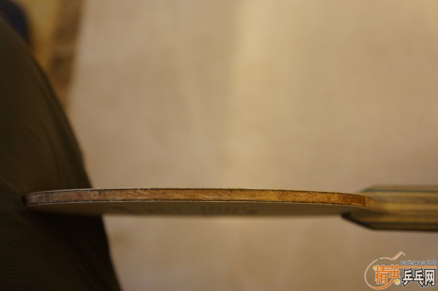 ������M�������