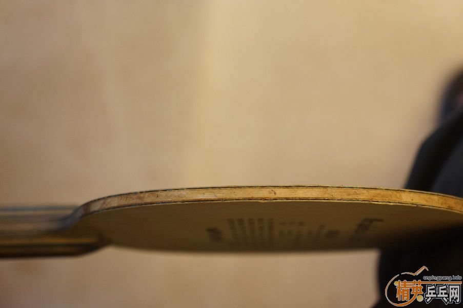 �����µ�M�����������