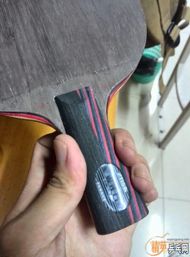 [ԭ��]9����ϸ��ֱ����̼������������˿��370������