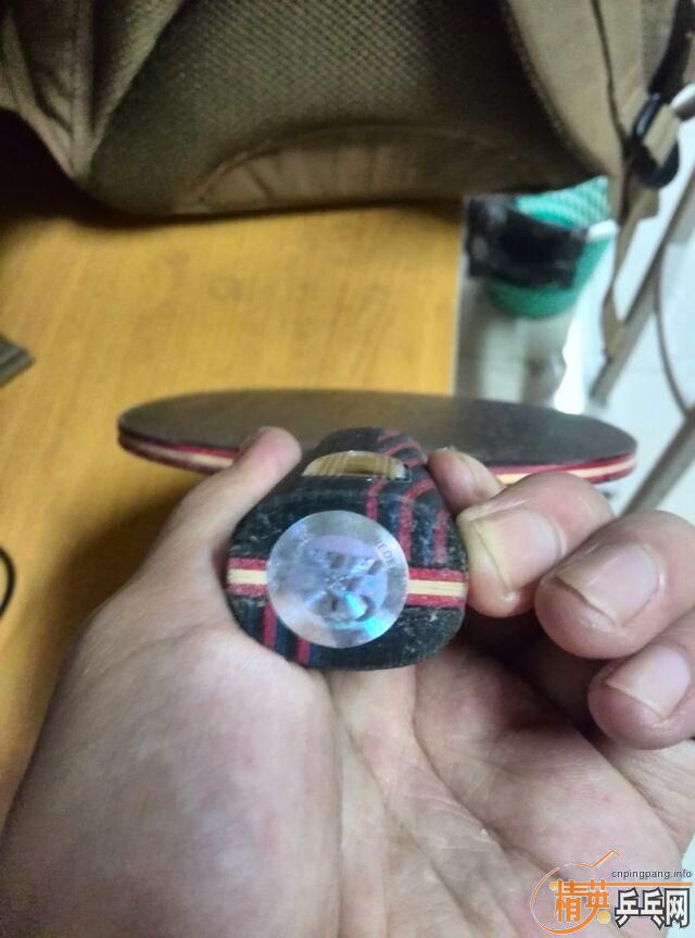 [ԭ��]9����ϸ��ֱ����̼������������˿��370������