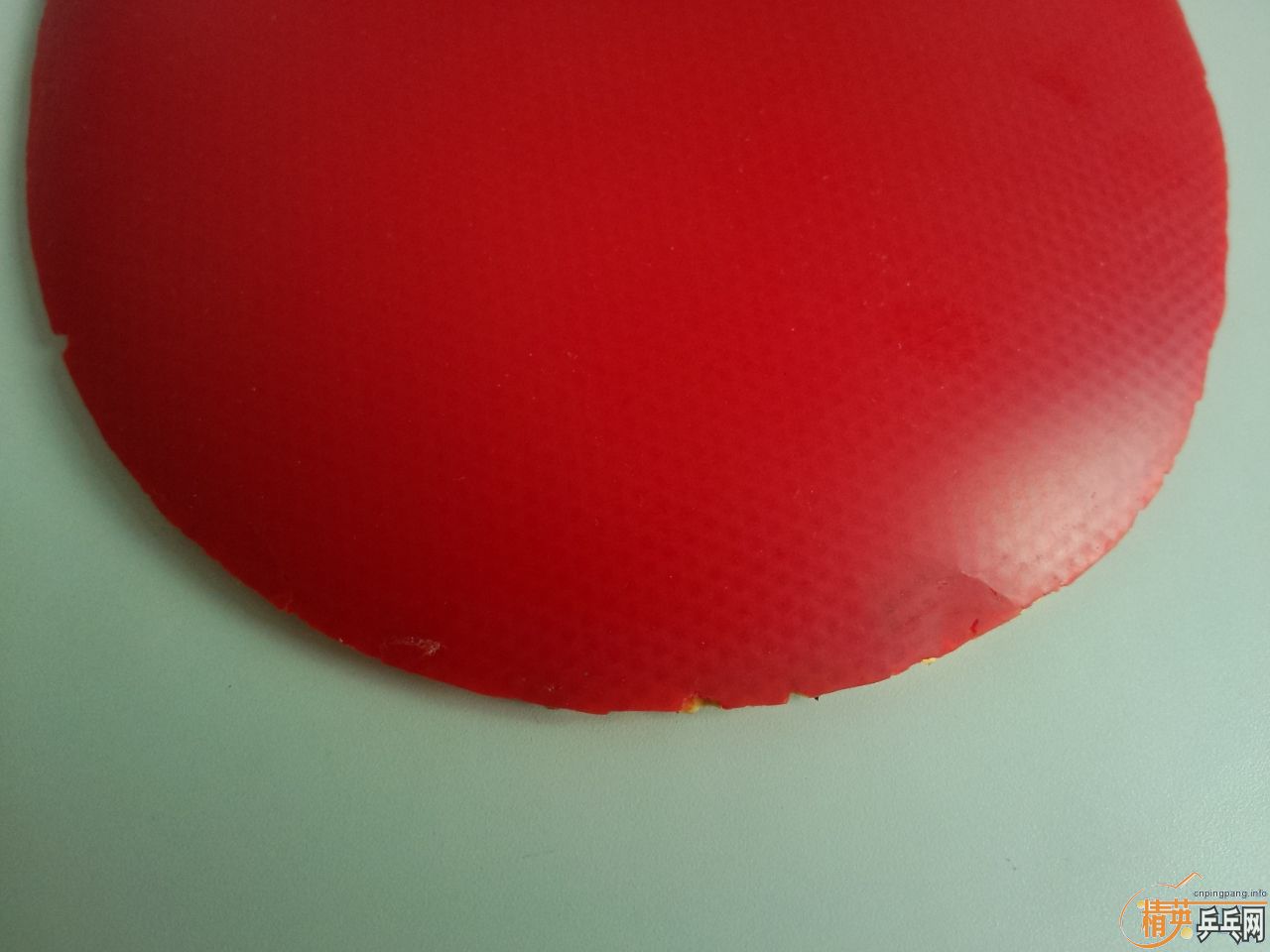 ���ײ˼ۡ�9�¹����켫2+˹�ٿ�neos��80���ʣ�