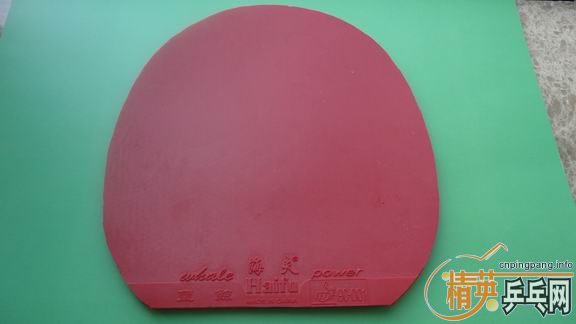 ���Ѻ�˫ϲ�ľ���7��ST�ֱ�����1�ź���ѵ�������׽�������ݳ���