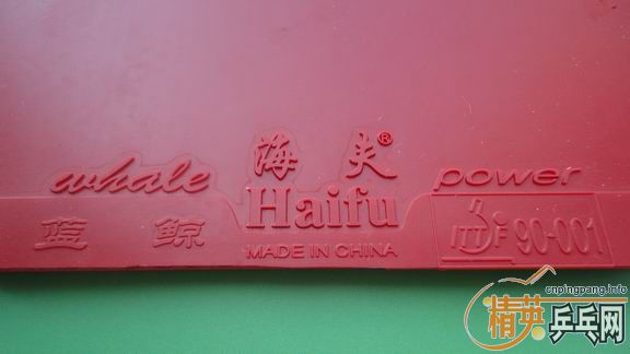 ���Ѻ�˫ϲ�ľ���7��ST�ֱ�����1�ź���ѵ�������׽�������ݳ���