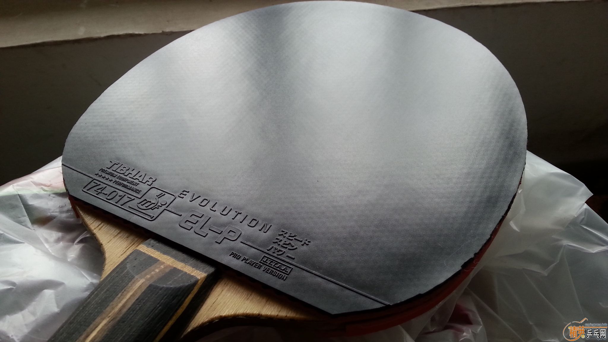 ��ߴ������  ��ɫ  ͦ�α��ELP   ����