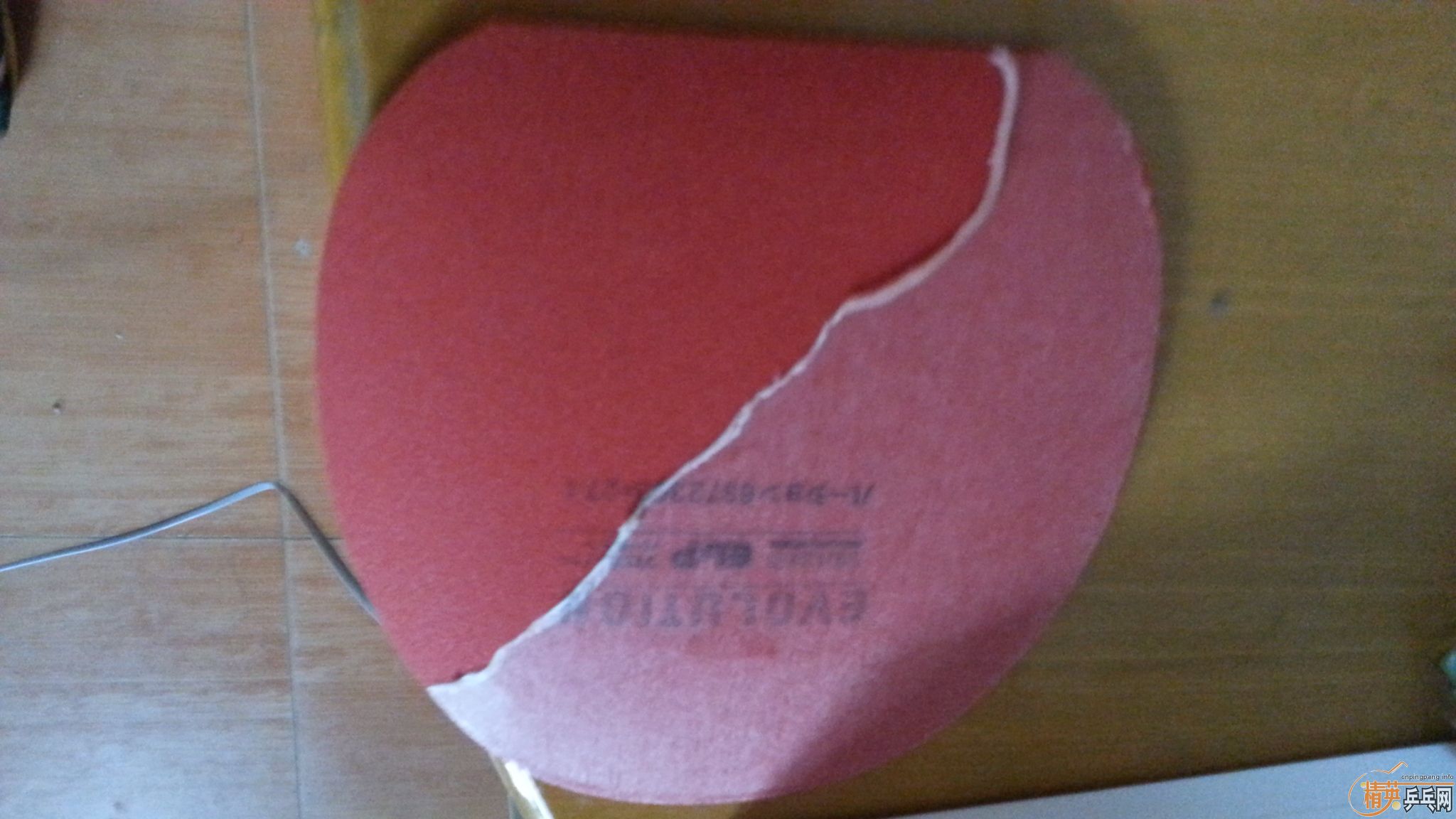 ��ߴ������  ��ɫ  ͦ�α��ELP   ����