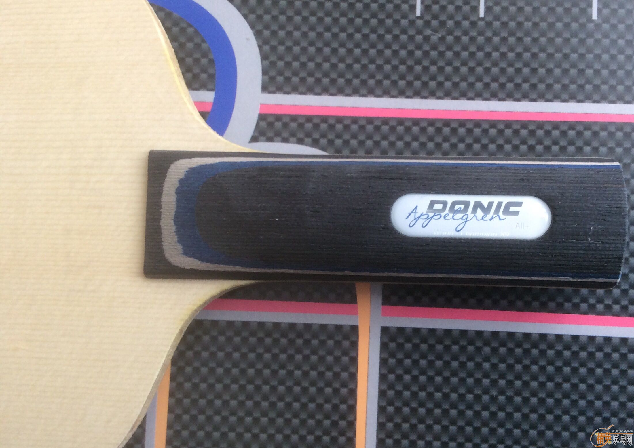 ��donic������������������cfz