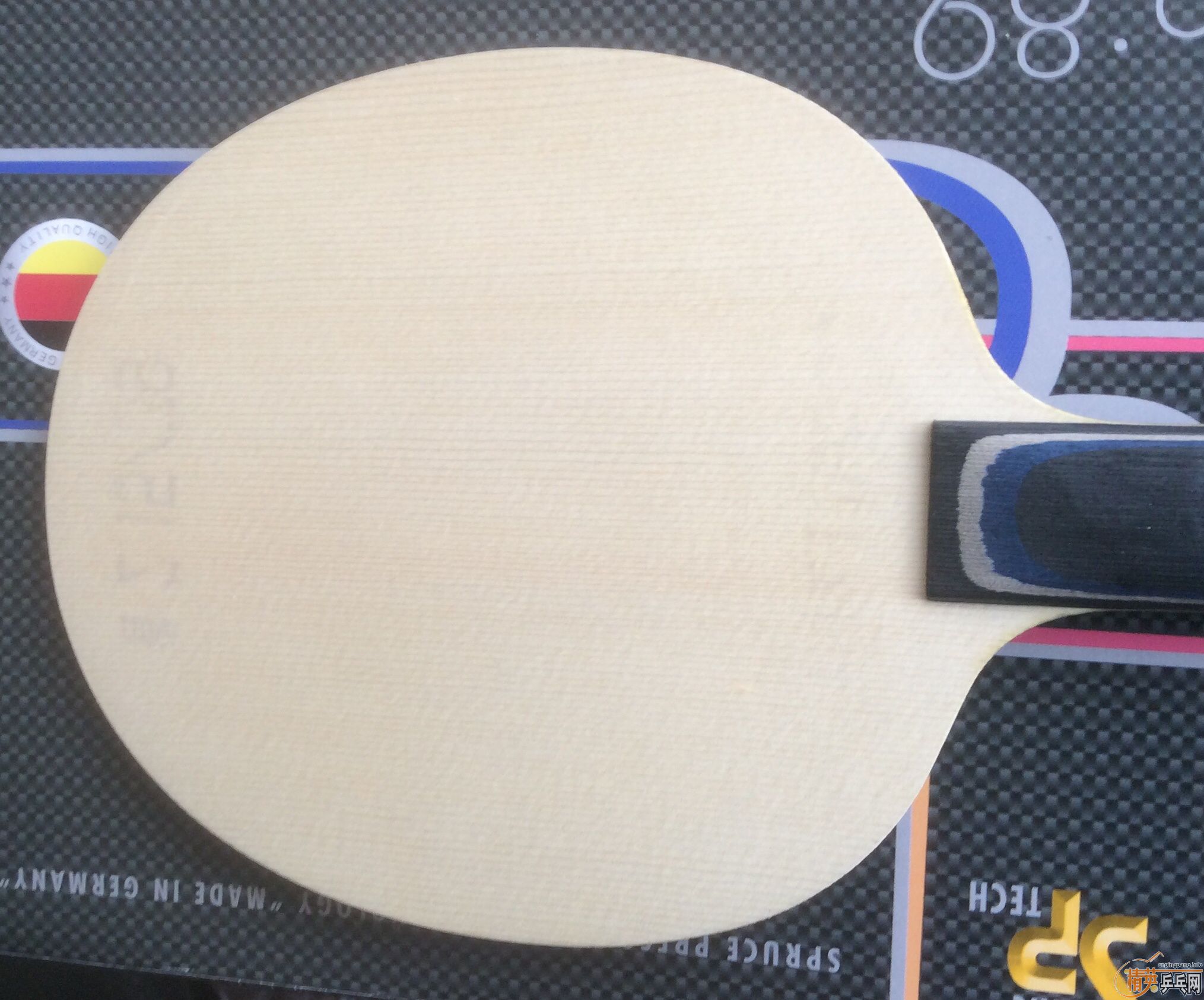 ��donic������������������cfz