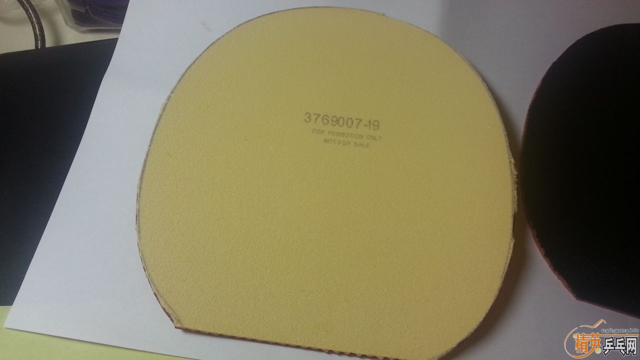 Donic s1�����汾