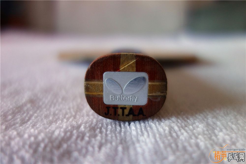 ��һֻ����������st��