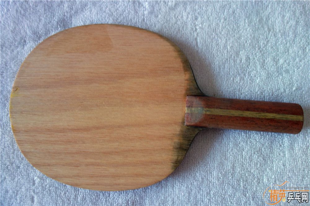 ��һֻ����������st��