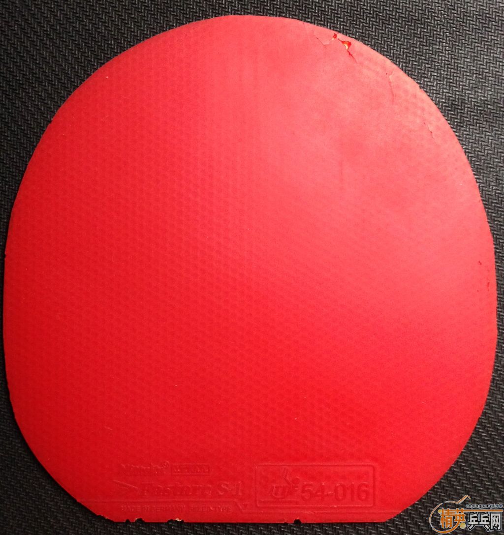 1Q XD����V��������S1���������������