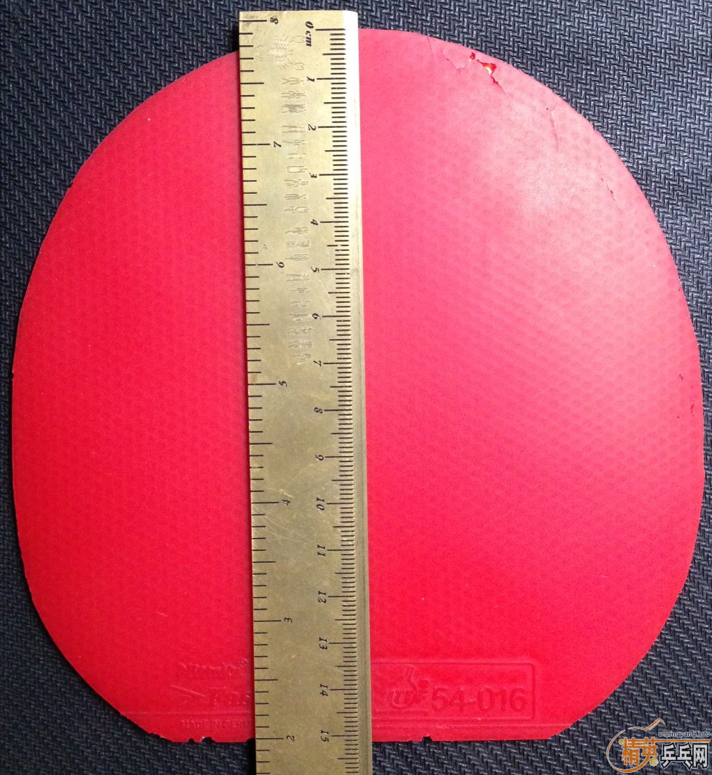 1Q XD����V��������S1���������������