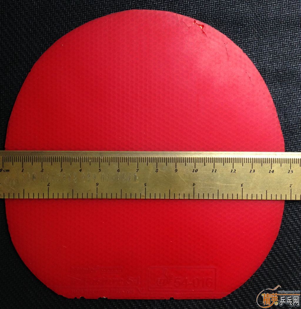 1Q XD����V��������S1���������������