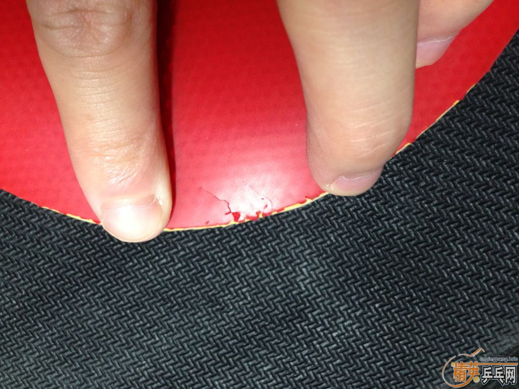 1Q XD����V��������S1���������������